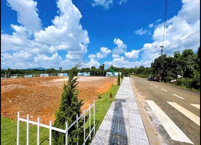 Hình ảnh Hiện tại bây giờ em có 3sao đất đã lên thổ và tách ra từng nền