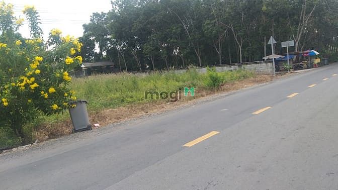 Hình ảnh Đất vườn 525m2 đường Ba Sa, SHR.Giá 1,2tỷ đường 12m, Phước Hiệp Củ Chi
