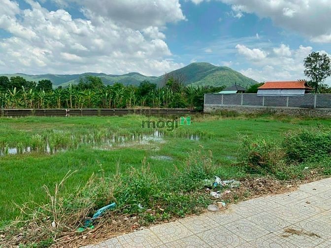 Hình ảnh MT đường 3 tháng 2 tổng diện tích 2099m2 tc 480m giá 22 tỷ