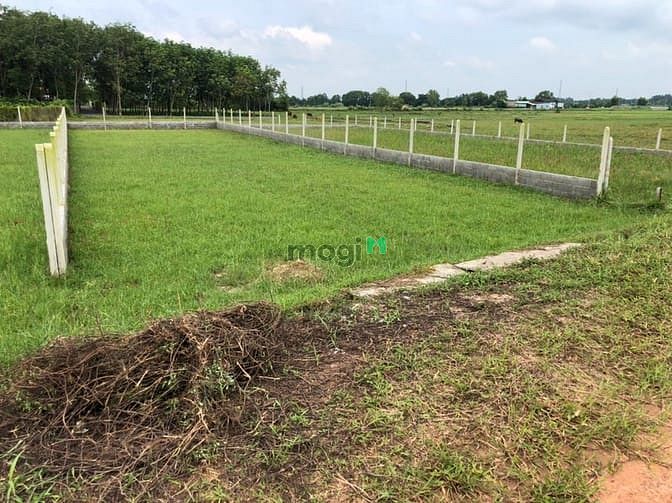 Hình ảnh Đất 490m2 giá 1,1 tỷ đường 6m, xã Phước Hiệp, Củ Chi