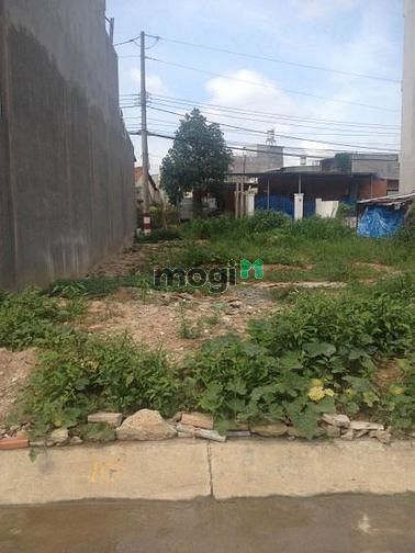 Hình ảnh Đất Trống 15x20m Đường Thân Văn Nhiếp Giá Thuê 25 Triệu/Tháng