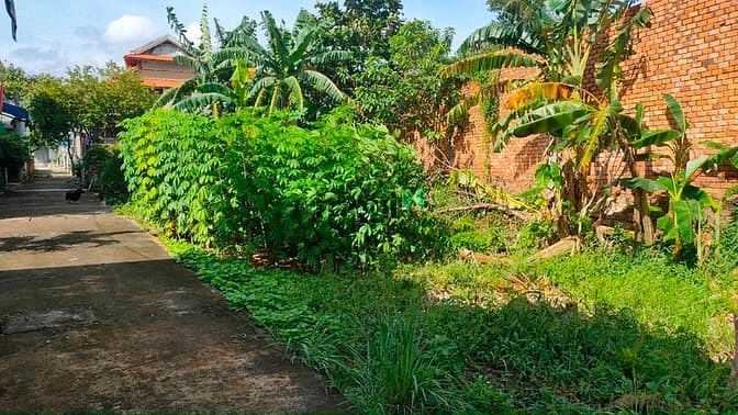 Hình ảnh Đất DT : 388m2 đường số 5, Hoàng Hữu Nam, Long Thạnh Mỹ Q9. TP Thủ Đức