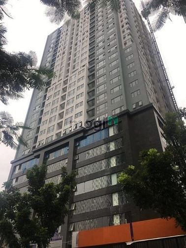 Hình ảnh Cho thuê lô góc Láng Hạ Đống Đa