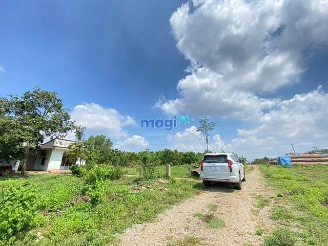 Hình ảnh Bán 1000m2 cách đường Phước Bình 20m, Vị trí đất ra vành đai4 2km