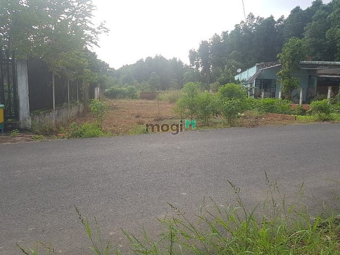 Hình ảnh Bán lô đất 426m2 ONT, SHR ngay trung tâm xã Phước Bình
