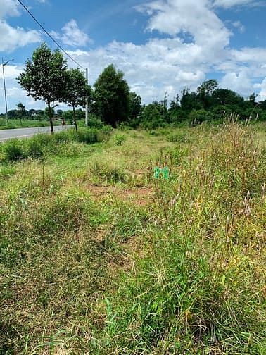Hình ảnh Đất thổ cư MT Võ Văn Kiệt 5x25.5m (100m2 TC), liền kề KCN cao HD 450ha