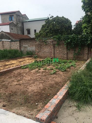 Hình ảnh Bán gấp 45m2 Linh Quy Bắc, Gia Lâm hạ tầng, tiện ích đầy đủ.
