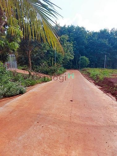 Hình ảnh Bán đất Ngay  Thị Xã Bình Long ,Bình Phước, 5×45(50m),sổ riêng,giá 320