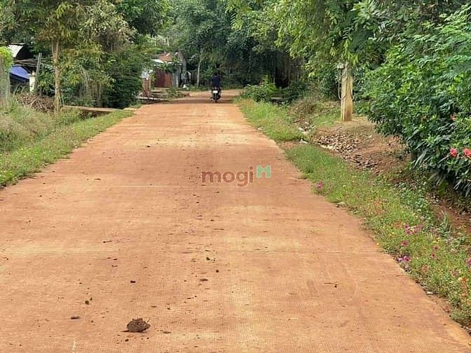 Hình ảnh Bán đất Ngay  Thị Xã Bình Long ,Bình Phước, 5×45(50m),sổ riêng,giá 320