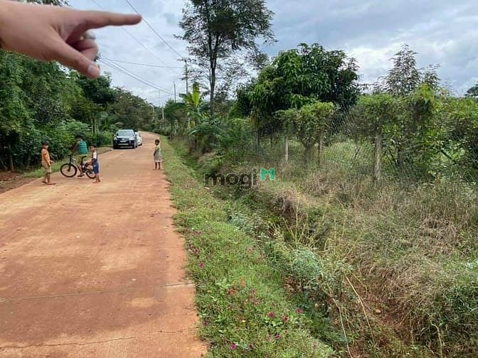 Hình ảnh Bán đất Ngay  Thị Xã Bình Long ,Bình Phước, 5×45(50m),sổ riêng,giá 320
