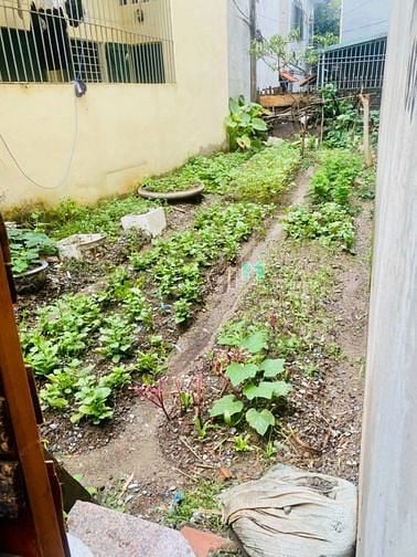 Hình ảnh Bán GẤP đất Phân Lô Xuân ĐỈnh , Lô góc , ngõ nông , mặt tiền 4.3m