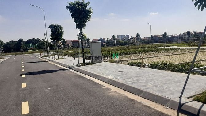 Hình ảnh Đất đấu giá X2 – Mai Lâm. DT 80m2, Mt 5m. Vỉa hè vip. Giá: 65tr/m2