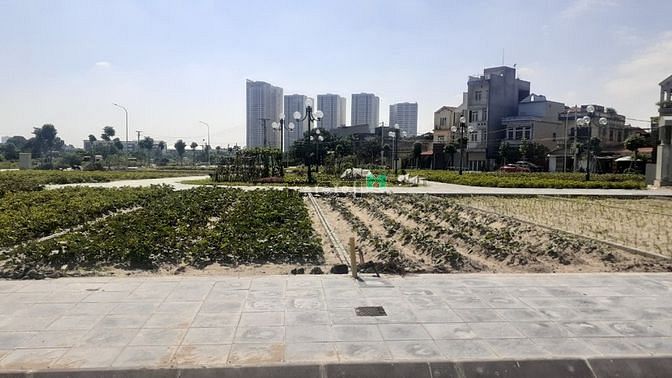 Hình ảnh Đất đấu giá X2 – Mai Lâm. DT 80m2, Mt 5m. Vỉa hè vip. Giá: 65tr/m2