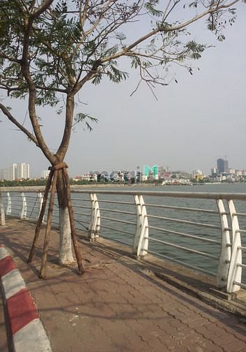 Hình ảnh Bán gấp Đất ở 218 Thụy khuê, 30m2, vuông, SĐCC, ngõ thông ra mọi hướn