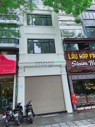 Hình ảnh Cho thuê nhà MP Phan Kế Bính: 60m2 x 5 tầng, MT 4m, nhà mới, thang máy