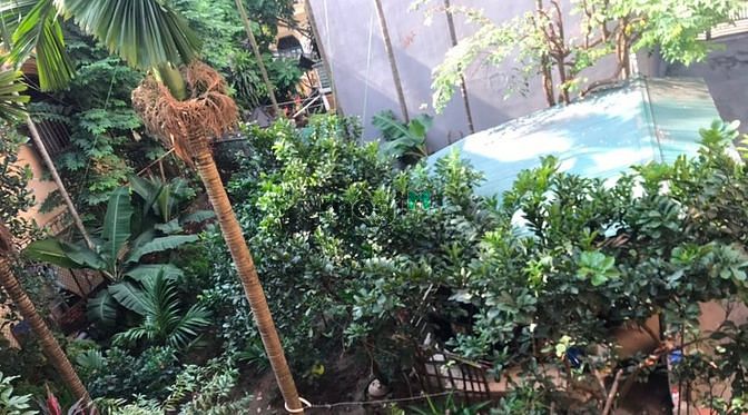 Hình ảnh Chính chủ bán đất thổ cư Tứ Liên