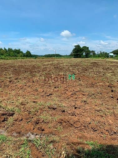 Hình ảnh Bán đất mt Võ Văn Kiệt 5*25 100m2 tc SHR, NN hỗ trợ 80%, CK nóng T10
