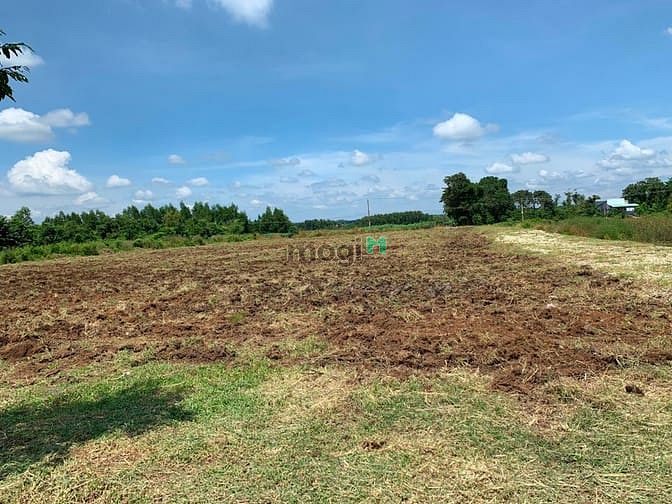 Hình ảnh Bán đất mt Võ Văn Kiệt 5*25 100m2 tc SHR, NN hỗ trợ 80%, CK nóng T10