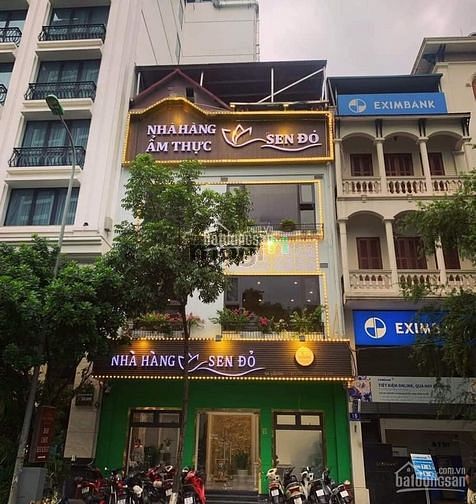 Hình ảnh Bán nhà mặt phố Phan Kế Bính - Vỉa hè 5m