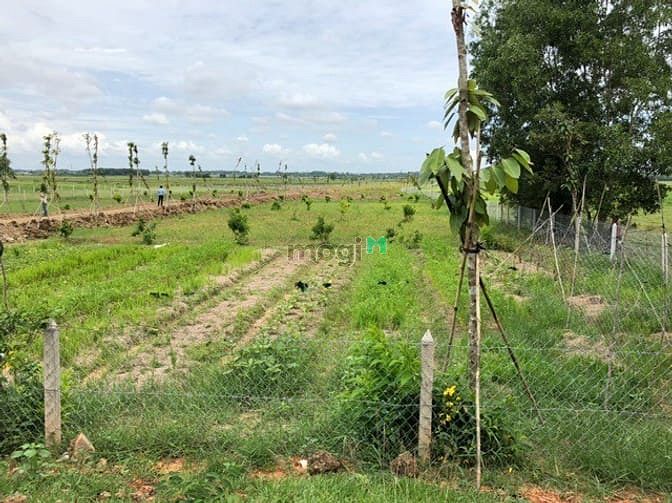 Hình ảnh Cần bán 300m2 đất, giá 600tr sổ hồng, đường TL2 Củ Chi