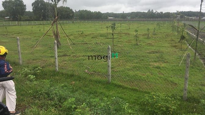 Hình ảnh Đất củ Chi 500m2, giá 900 tr SHR
