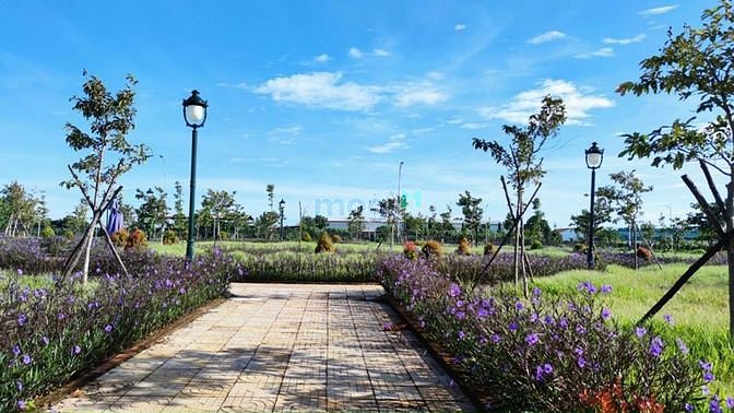 Hình ảnh Đất nền sổ đỏ Tại buôn mê thuột daklak
