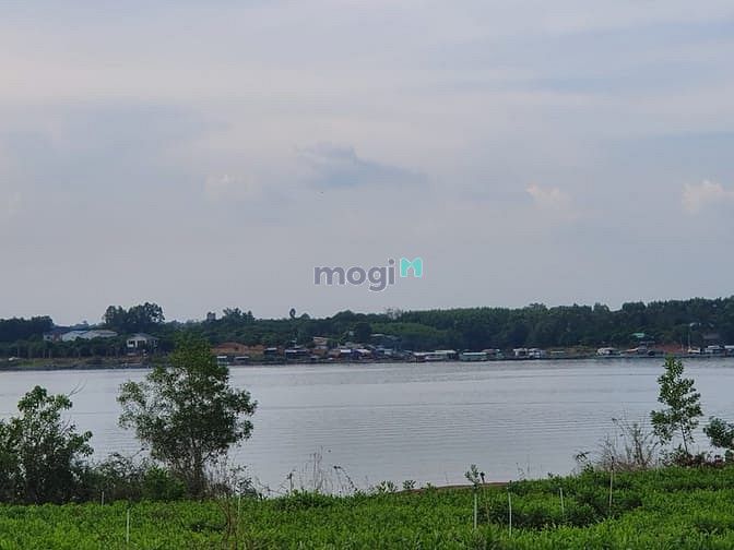 Hình ảnh cân bán mảnh vườn canh KDL hồ Trị An có thổ cư