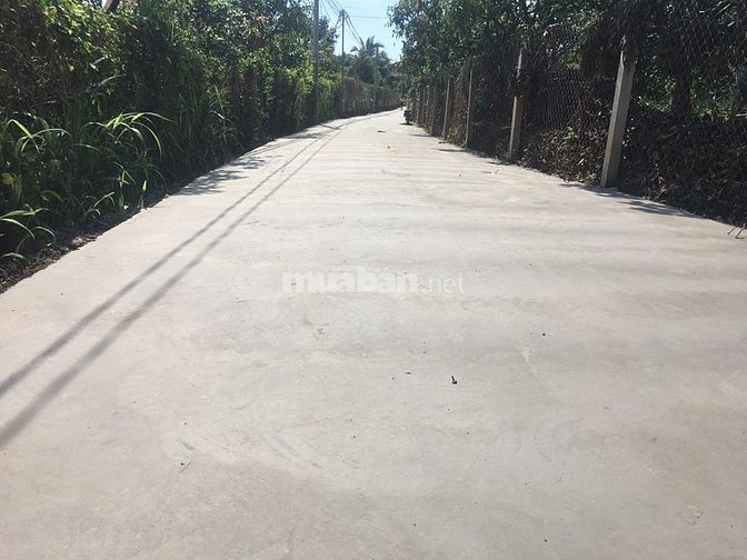 Hình ảnh Ông anh bán lô đất vuon để xoay sở TC mùa dịch DT 1005m2 (Đất ONT)