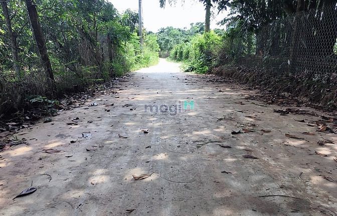 Hình ảnh Bán vườn trái cây 1000m2 có 100m2 TC (Quy hoạch ONT ) giá 890tr ở ĐN.