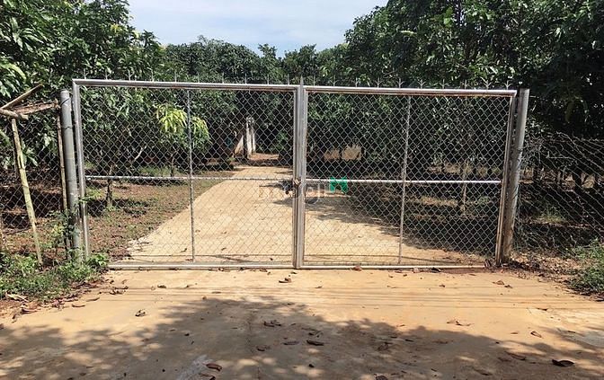 Hình ảnh Bán vườn trái cây 1000m2 có 100m2 TC (Quy hoạch ONT ) giá 890tr ở ĐN.