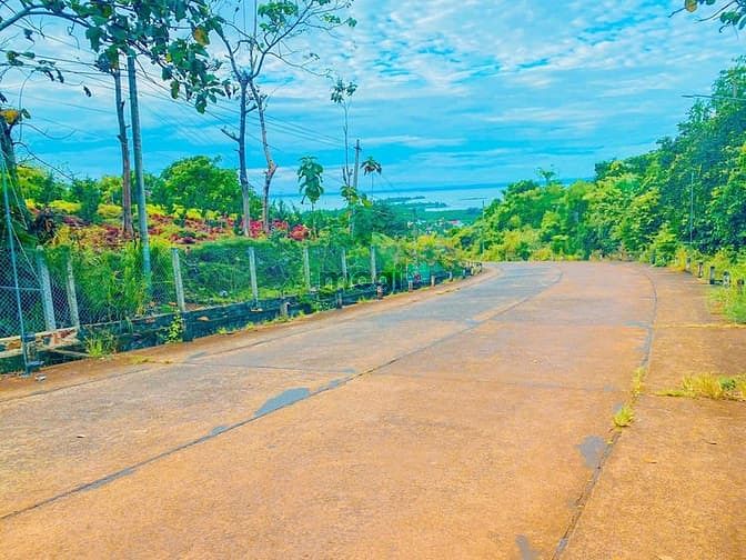 Hình ảnh Bán vườn trái cây 1000m2 có 100m2 TC (Quy hoạch ONT ) giá 890tr ở ĐN.