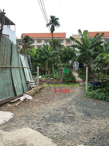 Hình ảnh Cho Mb66vip cập nhật tỷ lệ cược 1000m2 có nhà,hàng rào, Nhị Bình, Hóc Môn