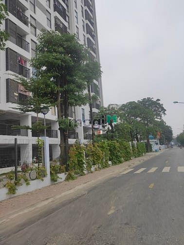 Hình ảnh Cần bán lô đất 63m nở hậu oto vao nhà liên mạc