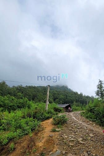 Hình ảnh Đón sóng du lịch sapa 2. Mảnh đất phìn hồ có sẵn thổ cư, view cực đẹp.