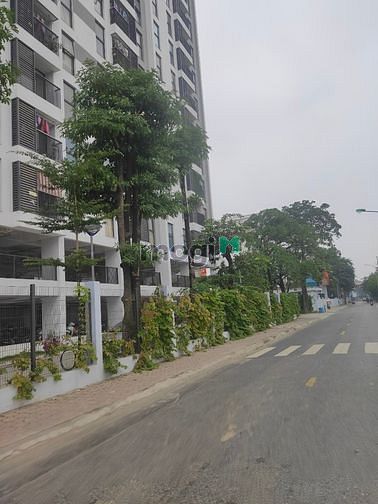 Hình ảnh Cần bán lô đất 63m nở hậu oto vao nhà liên mạc