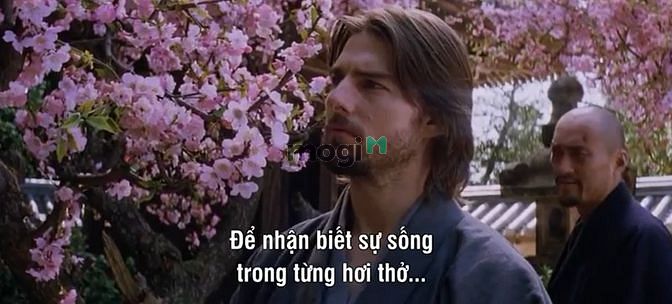 Hình ảnh aaaaa ádsadasdasđsada ádsadasdasdasdasdasdasdasd