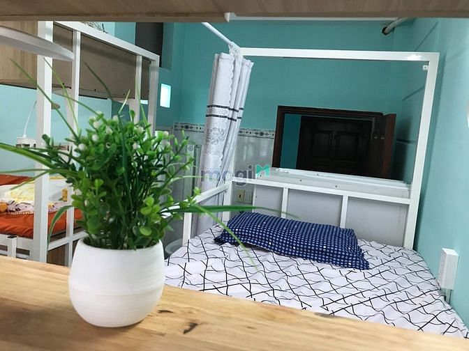 Hình ảnh Miễn phí tháng đầu cho sinh viên và người đi làm