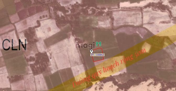 Hình ảnh [SIÊU VIP] Kế bên dự án TMS Hòa Thắng Resort Gofl Link