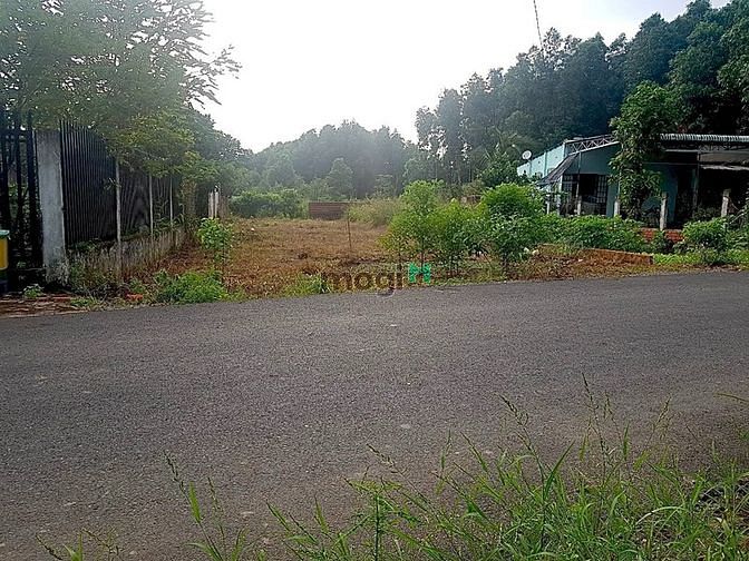 Hình ảnh Diện tích 426m2: Đất Hồng, SHR, Trung tâm Phước Bình, cách ql51 3km