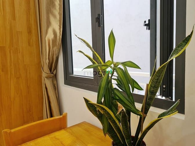 Hình ảnh Mb6623 nạp rút nhanh chóng studio-full nội thất-ban công_Nguyễn Văn Đậu_chợ Cây Quéo