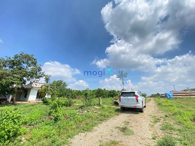 Hình ảnh Bán 1104m2 (100 thổ) ấp 7 Phước Bình-Long Thành