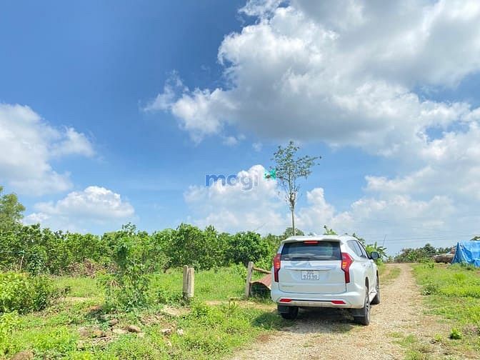 Hình ảnh Bán 1104m2 (100 thổ) ấp 7 Phước Bình-Long Thành