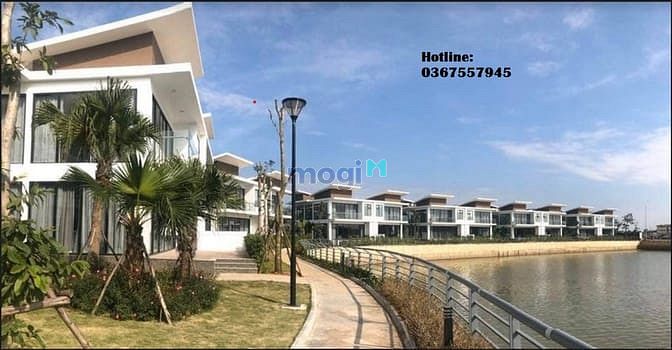 Hình ảnh Hàng hiếm 85m Trang MB66.COM Chính Thức - MB 66 Uy Tín siêu lợi nhuận Nam Vĩnh Yên