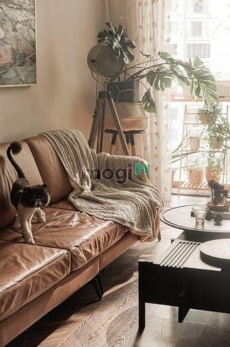 Hình ảnh Siêu Phẩm Celadon City Cho Thuê Cực Đẹp 2PN 2WC Full NT giá 14 Triệu