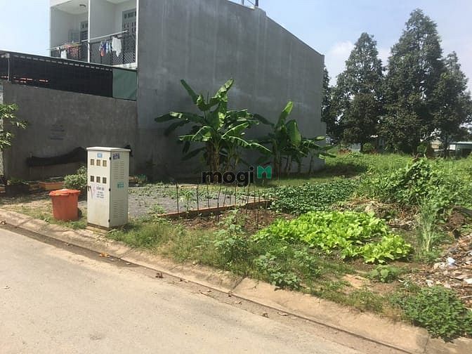 Hình ảnh Đất KDC Vĩnh Phú 1 sát chợ Đầu Mỗi Thủ Đức 6,6x20 , SHR Thổ Cư 100%