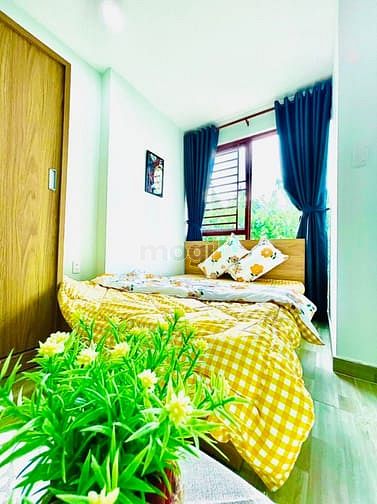 Hình ảnh Studio bancon_full NT giá rẻ KV Q1