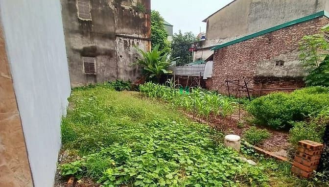 Hình ảnh Bán Đất Phúc Lợi 47.7 m2 Ngõ nông ô tô vào sát .