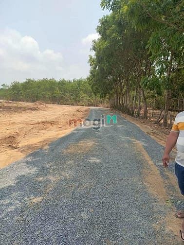 Hình ảnh Cần bán 3 công đất 1.2tr/m2, Đất hồng, Sổ Riêng, Đường oto.