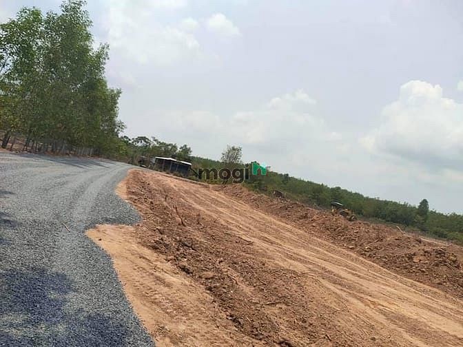 Hình ảnh Cần bán 3 công đất 1.2tr/m2, Đất hồng, Sổ Riêng, Đường oto.