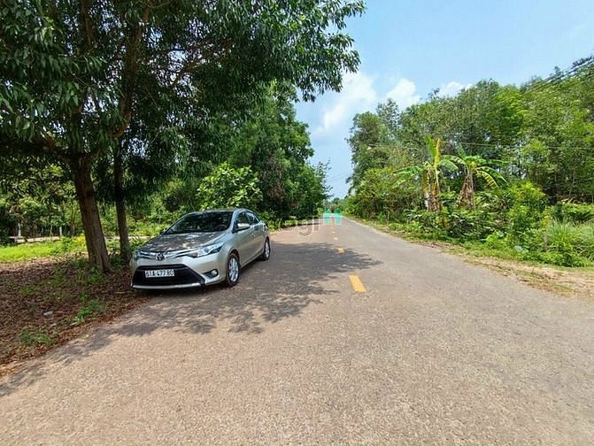 Hình ảnh Cần bán 3 công đất 1.2tr/m2, Đất hồng, Sổ Riêng, Đường oto.